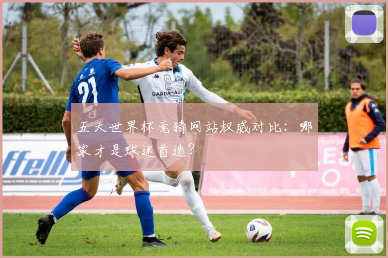 五大世界杯竞猜网站权威对比：哪家才是球迷首选？