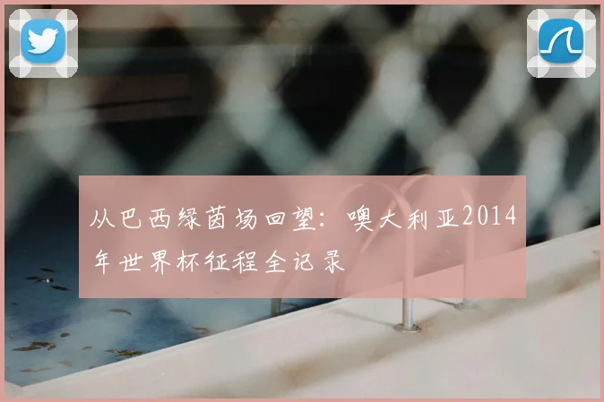 从巴西绿茵场回望：噢大利亚2014年世界杯征程全记录